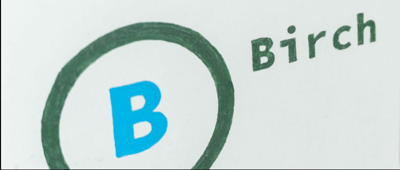 Birch